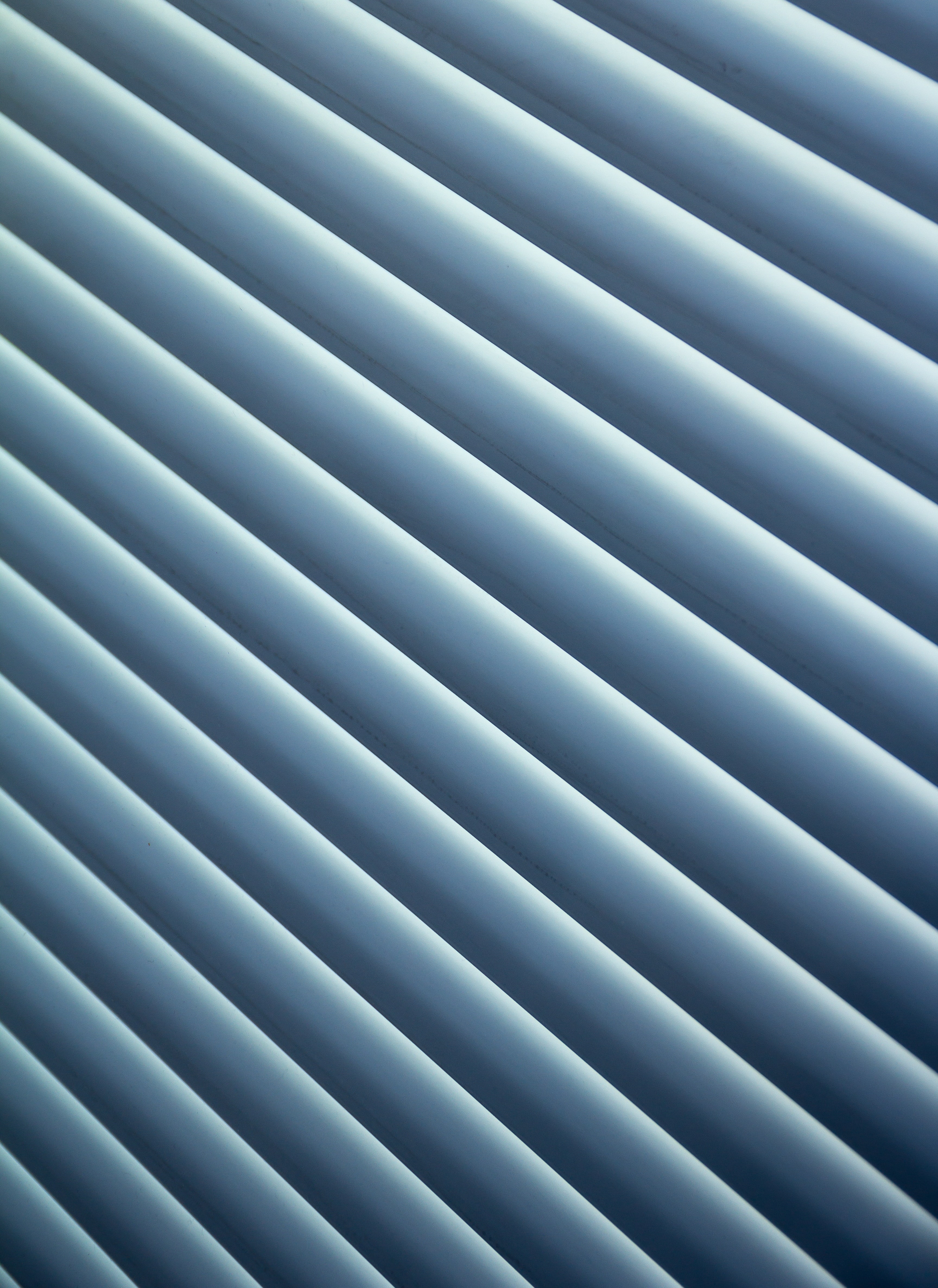 blinds